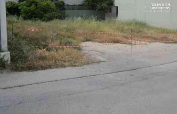 εικόνα_Viber_2025-07-09_11-56-47-969.jpg